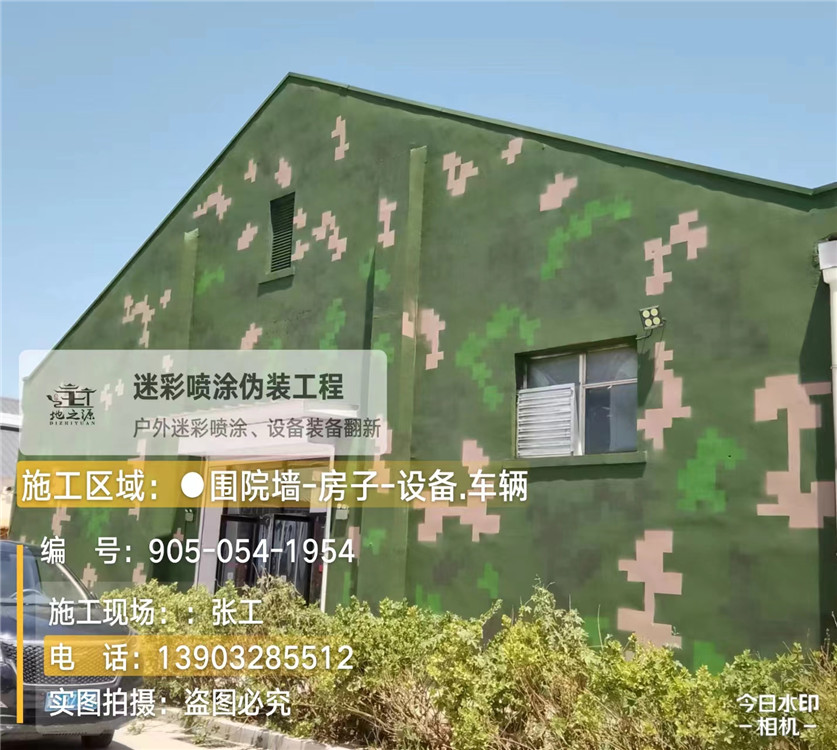 海西外墙数码迷彩漆施工报价清单（100㎡标准墙面测算）